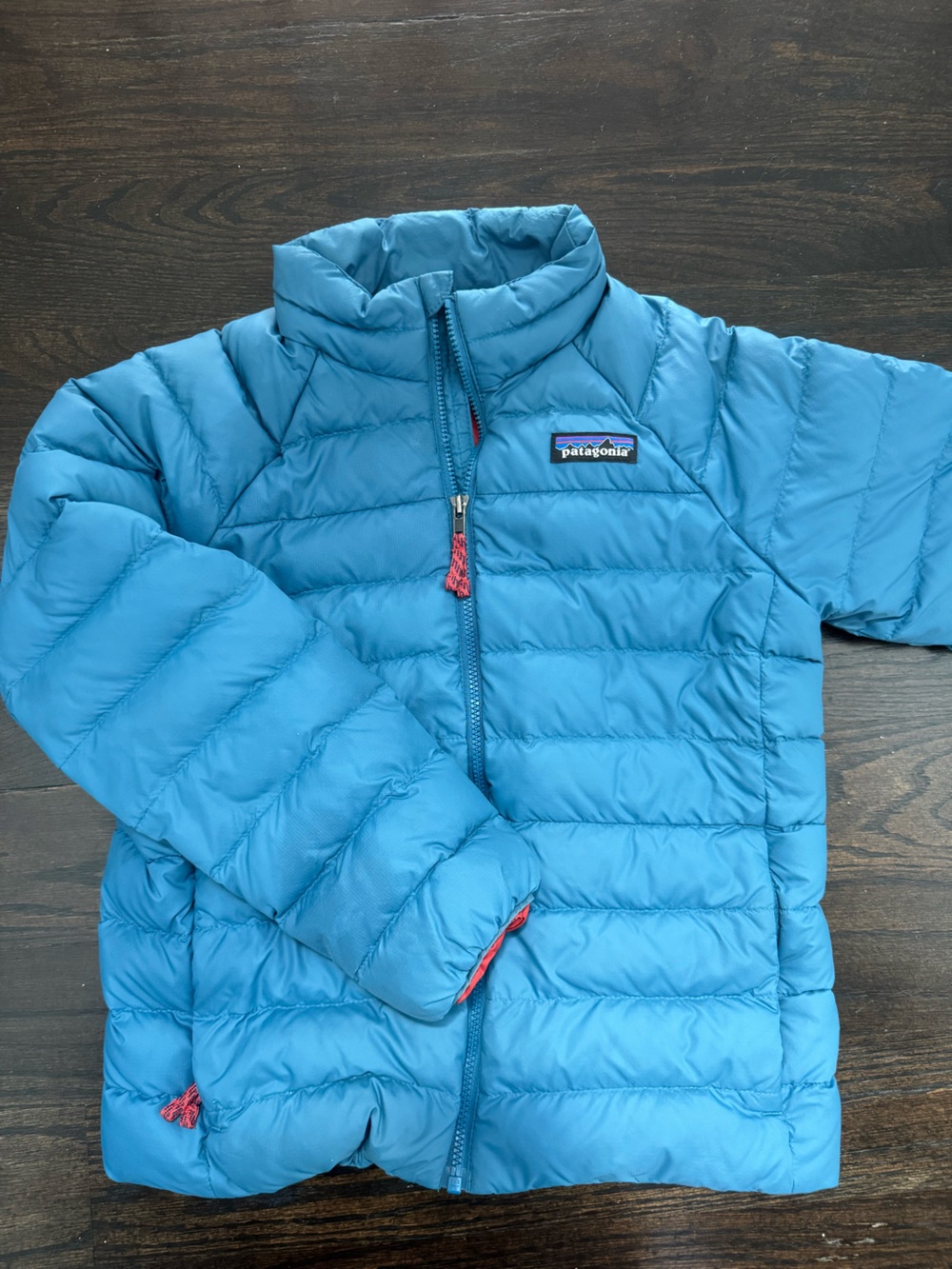 Patagonia Kids Blue Puff Jacket